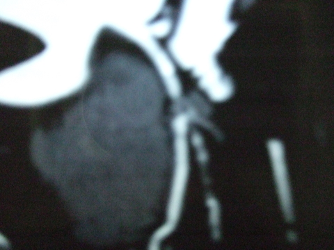 e0009760_14341759.jpg