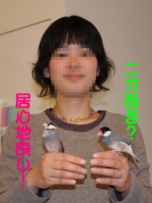 b0158061_21581788.jpg
