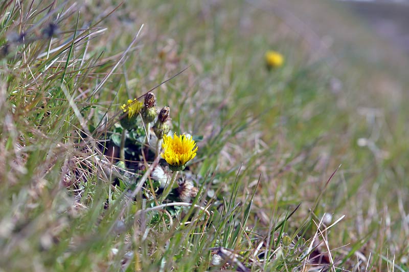 c0043361_23311920.jpg