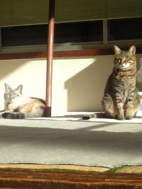 c0172261_1142370.jpg