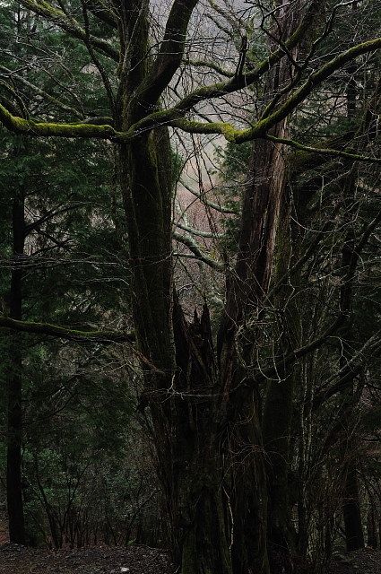 f0222161_21374568.jpg