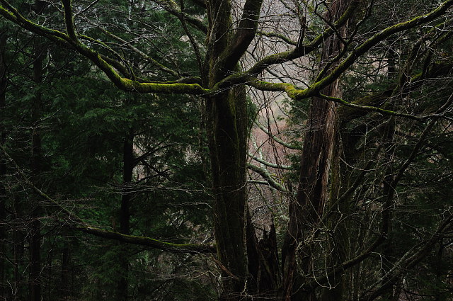 f0222161_21375144.jpg
