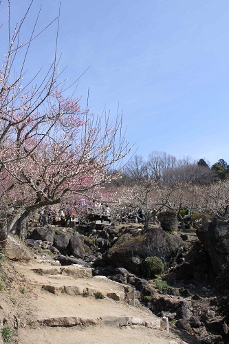 f0181462_1932648.jpg