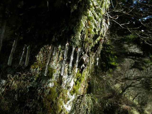c0042869_2161624.jpg