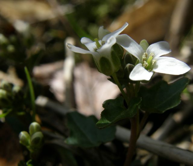 c0042869_2182378.jpg