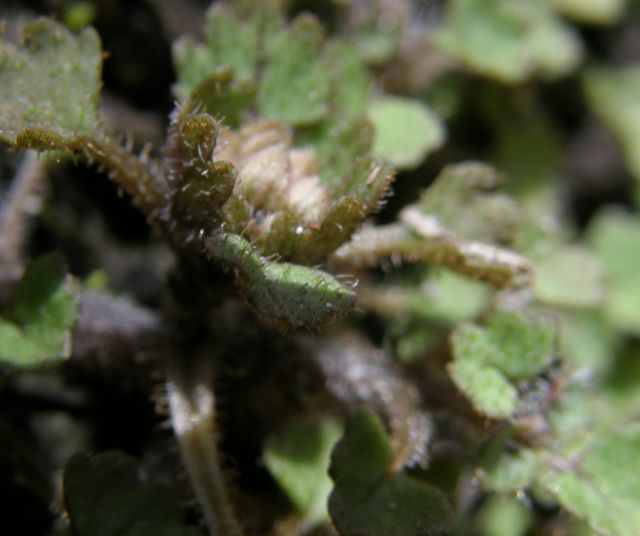 c0042869_2193313.jpg