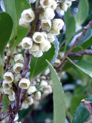 e0097770_22565940.jpg