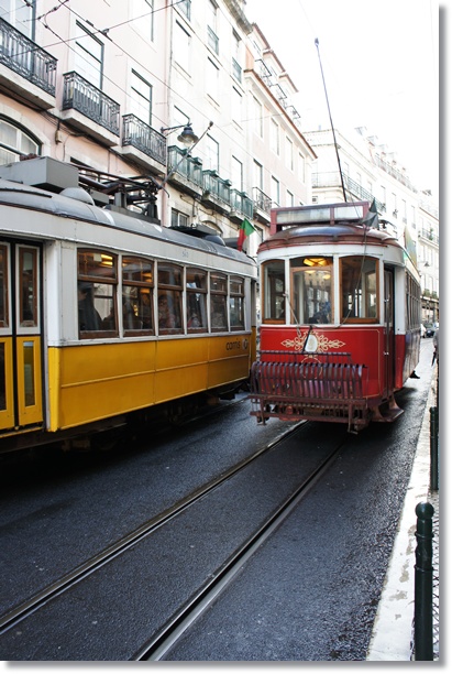 e0177271_20143048.jpg