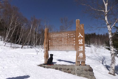 f0045872_2142112.jpg