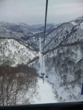 c0102375_1575935.jpg