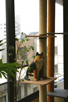 f0054677_853337.jpg