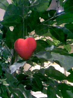 f0100480_21263046.jpg
