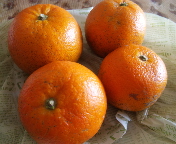 f0237680_86856.jpg