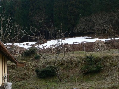b0042882_024173.jpg
