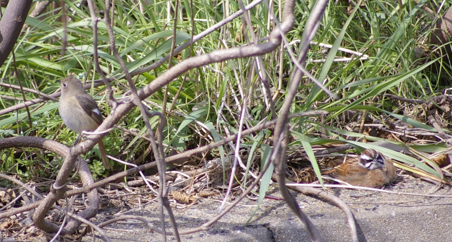e0197884_20534953.jpg