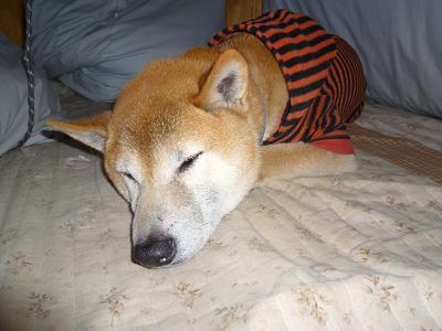 c0123890_2183614.jpg