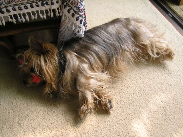 f0130894_21191125.jpg