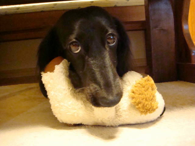 d0098295_0165439.jpg