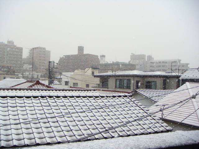 d0098295_031827.jpg