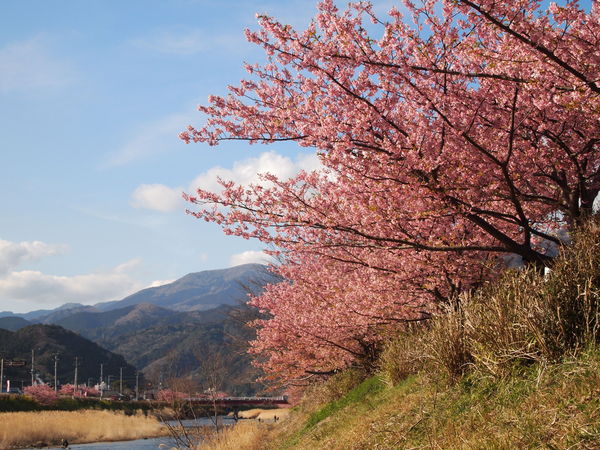 c0199098_331213.jpg