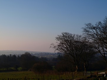 b0110999_552581.jpg
