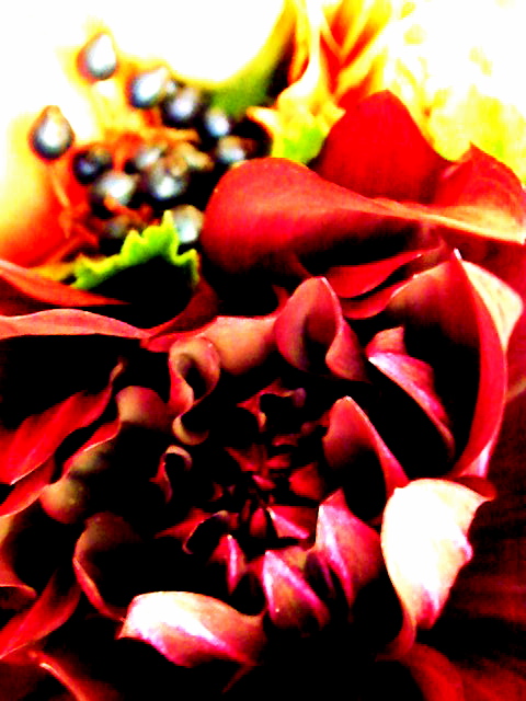 a0157704_2311922.jpg