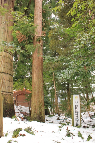 c0228404_76376.jpg