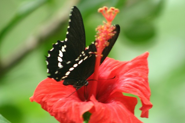 a0188405_2152368.jpg