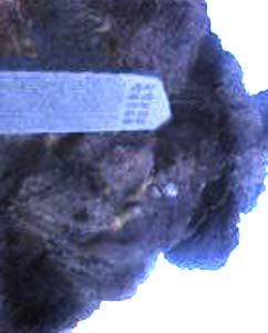 e0103408_20504456.jpg