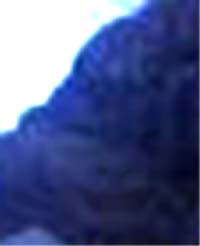e0103408_212858.jpg