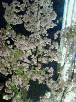 e0203415_056919.jpg