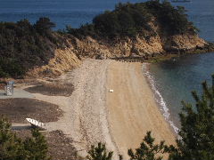 a0157619_21504837.jpg