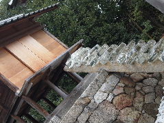 a0157619_21581316.jpg