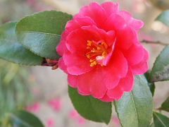 a0157619_22435037.jpg