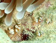 a0043520_2345252.jpg