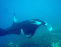 a0043520_23454136.jpg