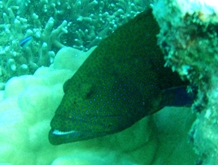 a0043520_23461255.jpg