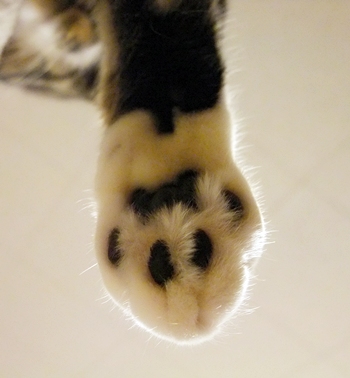 e0193822_21513181.jpg