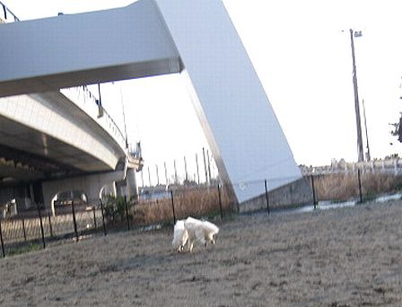 f0213924_17531730.jpg