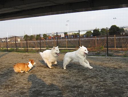 f0213924_1813824.jpg