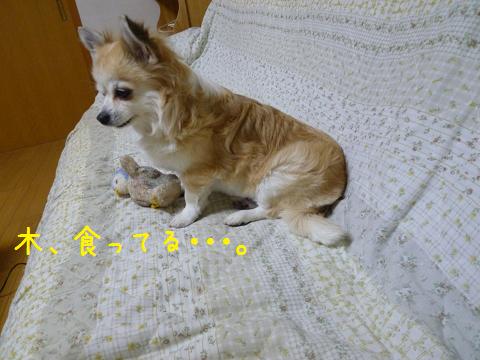 b0138430_20133245.jpg