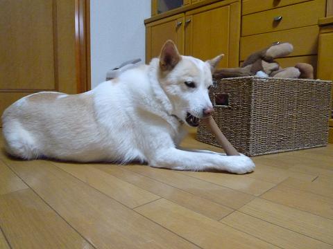 b0138430_2013391.jpg