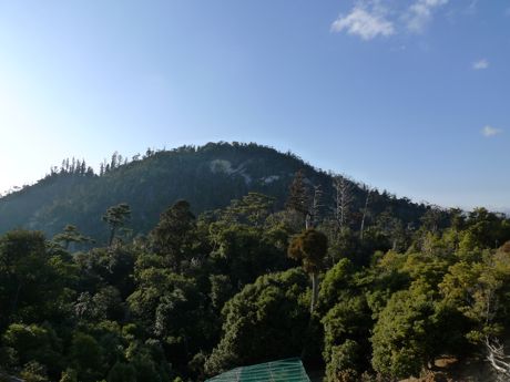 f0165831_18541886.jpg
