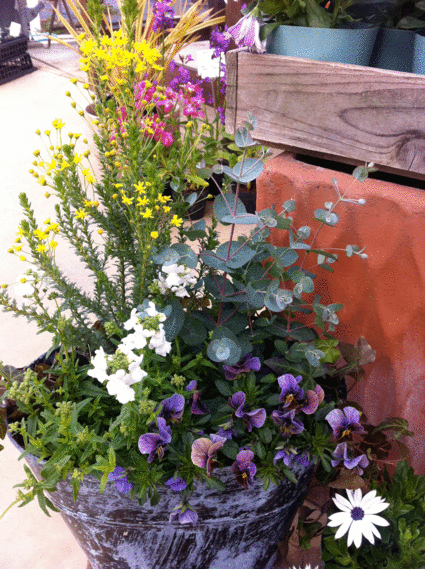 c0125537_2152794.gif