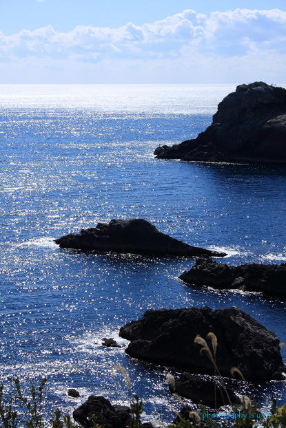 e0083238_23652.jpg