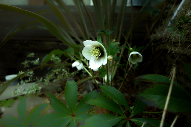 c0227239_182204.jpg