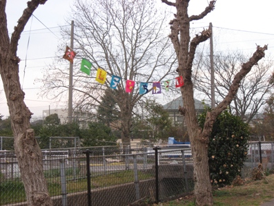 d0097857_1711277.jpg