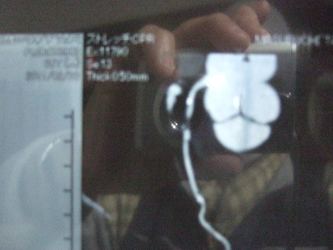 e0009760_16335060.jpg