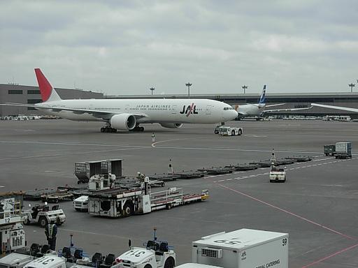 d0048366_857256.jpg
