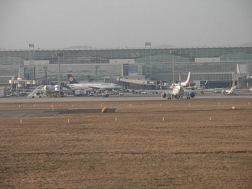 d0048366_910440.jpg